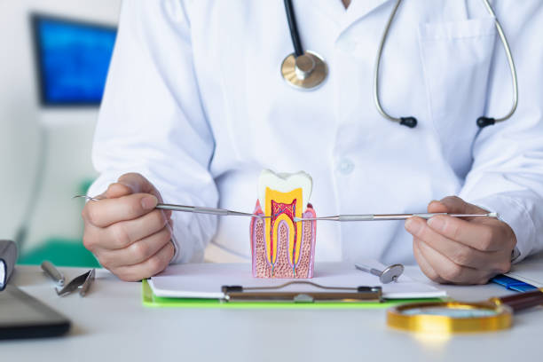 Best Emergency Gum Treatment in Normal, IL